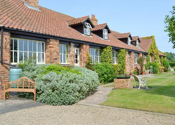 Meadowsweet - E1496 * Scalby (North Yorkshire)